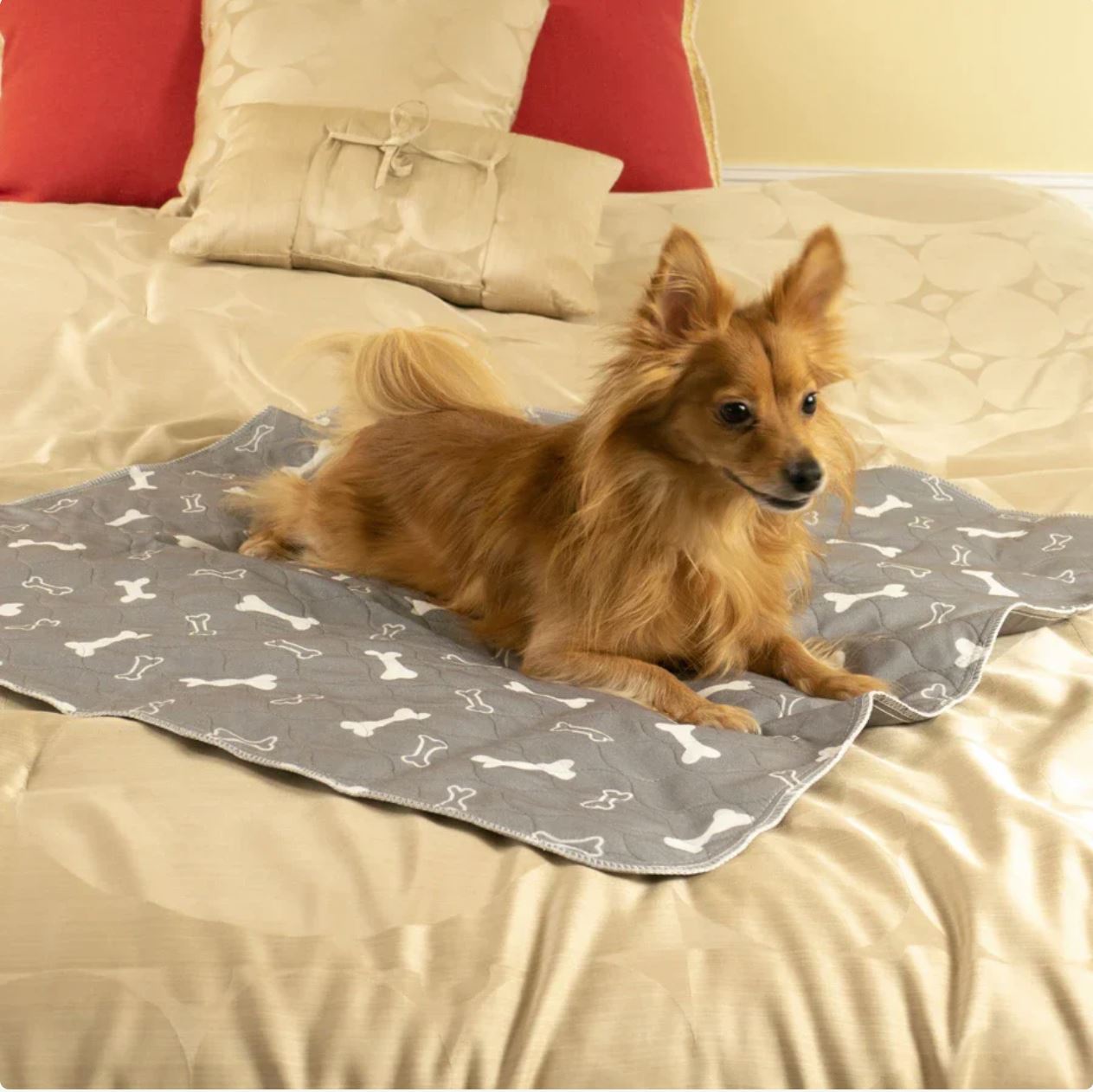 PuppyPad - Dog Potty Mat